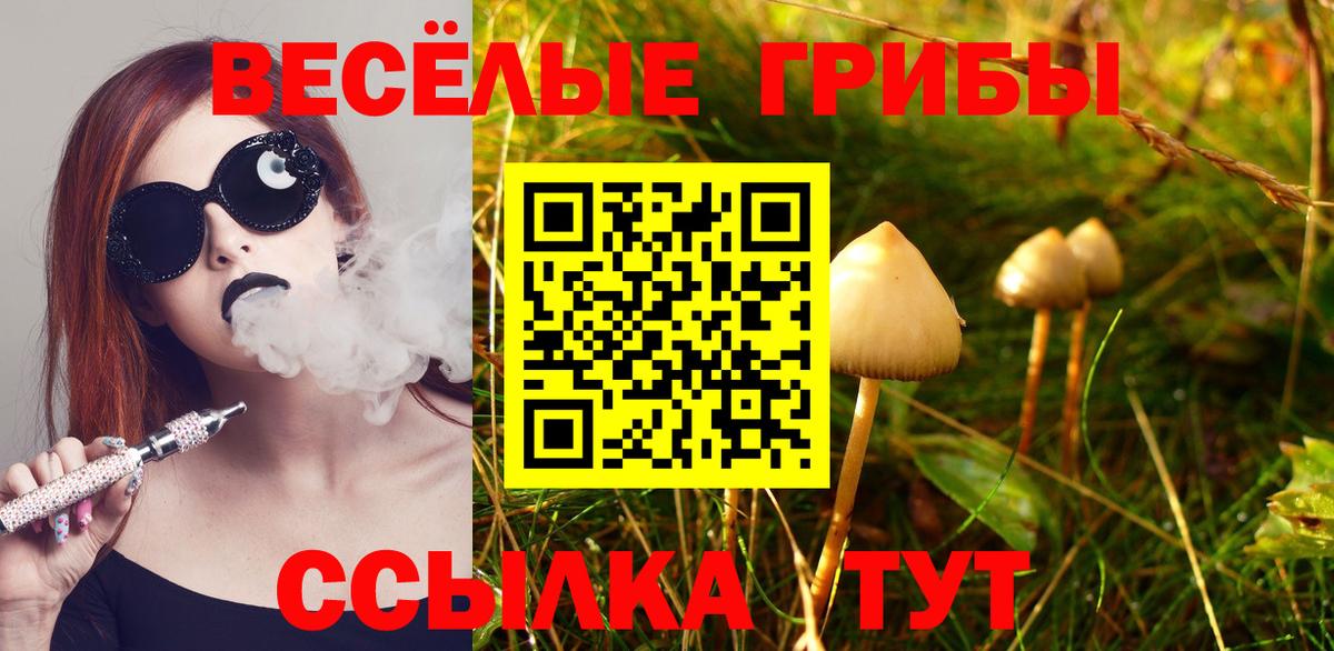 Галлюциногенные грибы прущие грибы  Вход с VPN  Батайск 