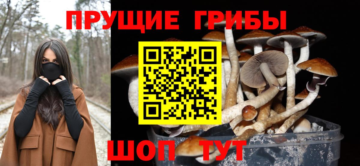 Псилоцибиновые грибы прущие грибы Батайск